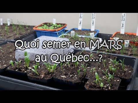 On sème quoi en MARS au Québec