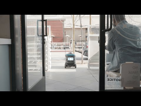 Kiwibot Video 2012