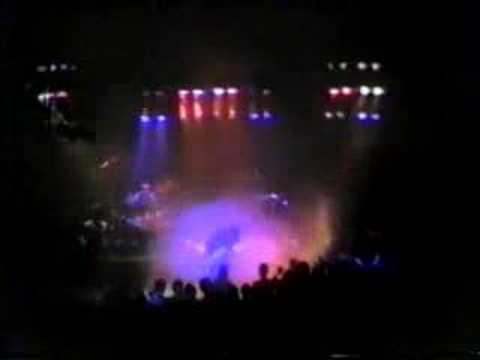 The Race - Petra