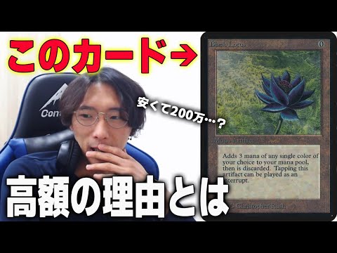 ロータス スピリットについて詳しく解説