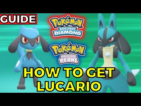 How to get LUCARIO and Riolu in Pokemon Brilliant Diamond and Shining Pearl Guide