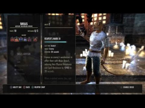 Stamina Nightblade Unarmed 46.9k