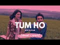 Tum Ho Mohit Chauhan Rockstar Slowed Reverb