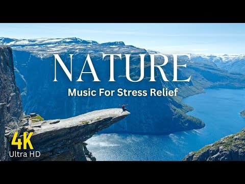 Breathtaking Colors of Nature in 4K III 🐦Beautiful Nature - Sleep Relax Music 4K UHD