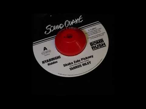 Nyabinghi Riddim Mix  Christopher Martine,Anonymous feat Bay-C,Busy Signal & Cobra and More!!