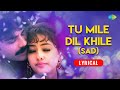 Tu Mile Dil Khile Lyrical Kumar Sanu And Alka Yagnik Criminal Classic Sad Songs Old Songs