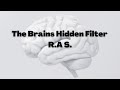 How Your Brain's RAS System Influences Your Perception: Exploring Cognitive Bias
