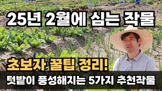 2월에 심는 텃밭 작물 초보자도 쉽게 재배 가능한 5가지 작물 추천