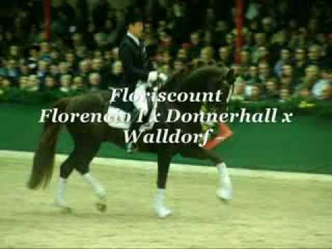 Floriscount v. Florencio I x Donnerhall x Walldorf