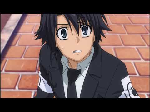 OP1 «Alternative» — angela