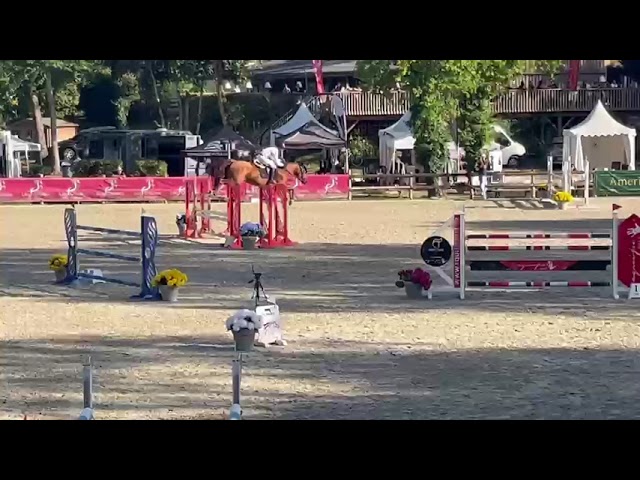 Hongre de 9 ans gagnant 135 