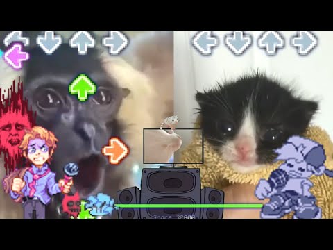 Fnf week 6 Thorns but its Bruh Monkeu VS Towel Cat! (Friday Night Funkin' Custom Week Edit)