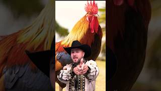 Chingo Bling Ostrich Boots #shorts  #music #song