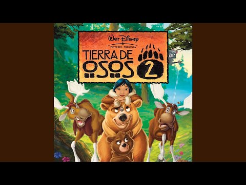 Tierra De Osos 2 - Bienvenido Hoy - Misc Cartoons
