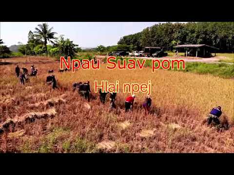 Npau suav pom hlai nplej