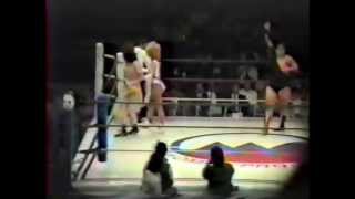 Devil Masami/Maiko Tsurugi vs Heidi Lee Morgan/Dementia