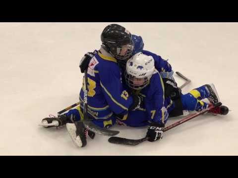 HC Lev Benešov vs. HC Vlašim SN 26.2.2017