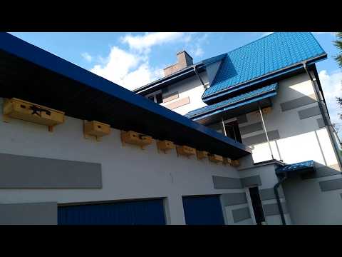 Jerzyki/ Common Swift/ Gemeiner Mauersegler/ Apus apus. New colony in the countryside - 2021 Poland