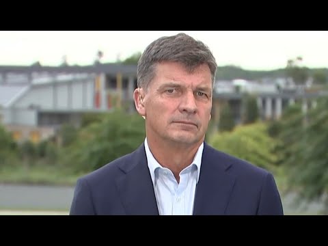 Angus Taylor to focus on ‘Australians’ priorities’ and holding ‘rotten’ Labor to account