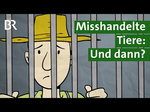 Tierschutz: Was passiert mit Landwirten, die Nutztiere misshandeln? | Tierschützer | Unser Land | BR