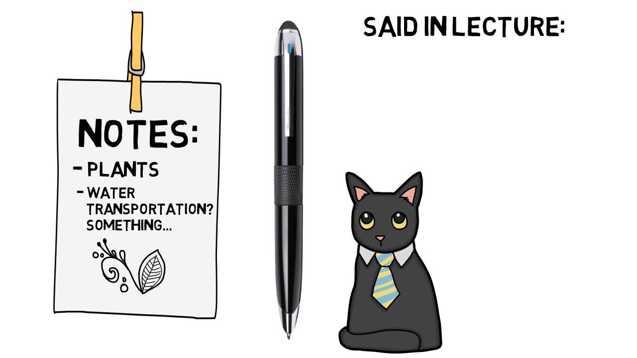 Note-Taking In Class