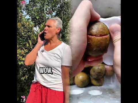 #foryou #fyp #viral #shorts