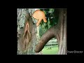 Xxx Xxx Bf Bhojpuri Video Xxx Hd Xxx