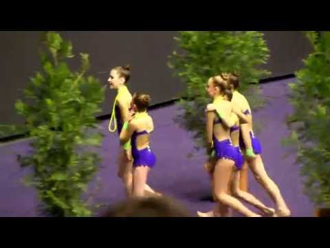 GR ensemble 13ans et moins de Bonsecours au Championnat de France à Clermont Ferrand 2016