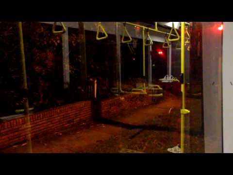 STA (Sydney Buses) Scania L113CRL (Fleet no. 3695)