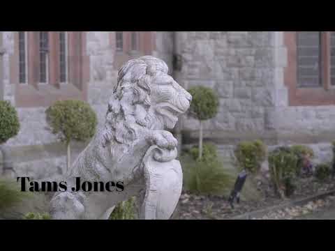 Under The Grey Sky teaser trailer