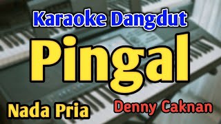 Download lagu PINGAL - KARAOKE || NADA PRIA COWOK || Denny Caknan || Audio HQ || Live Keyboard mp3