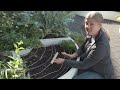 Cool Roots Fall Planting