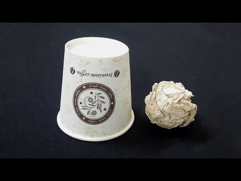 New Magic Trick For Beginner