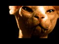 Megadeth - Insomnia (Official Video)