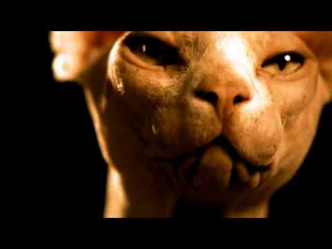 Insomnia - Megadeth
