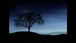 THE BEST Sarah Brightman Cover of La Luna done by a Tenor in spanish.