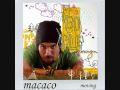 Macaco -Moving