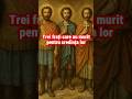 Trei Frați Ofițeri Decapitați Pentru Hristos Povestea Mucenicilor Manuil Savel și Ismail