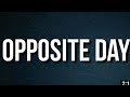 Megan Thee Stallion Opposite Day Lyrics MP4