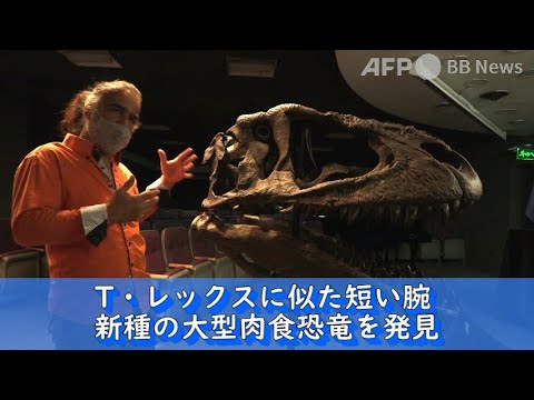 巨大な肉食恐竜がヨーロッパで発見