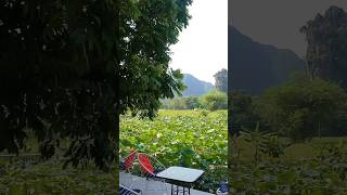 #hostel recommendation for #ninhb&igrave;nh #vietnam  Green Mountain Homestay was stunning & perfect