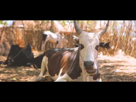 Mikea - Tany masy (Officiel 2016)