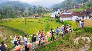Download lagu Edyan‼️Beginilah Kalau Sultan Kampung Nikah. Jajap Pengantin 1000 Orang Emas 50 Gram Domba Lemari mp3