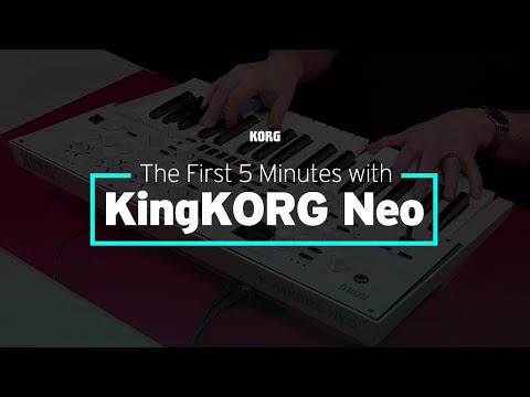 The First 5 Minutes with KingKORG Neo