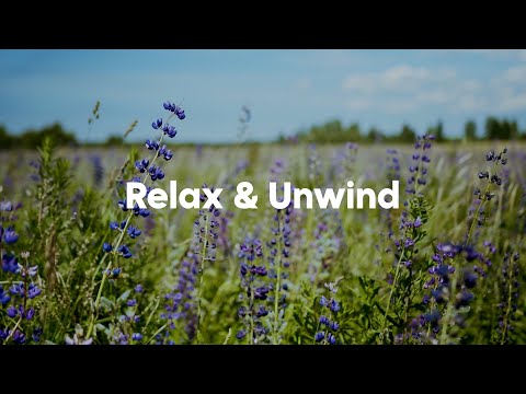 Relax & Unwind 2025 🍃 Calm Vibes for a Peaceful Mind