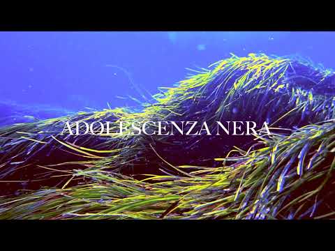 Video thumbnail for Adolescenza nera