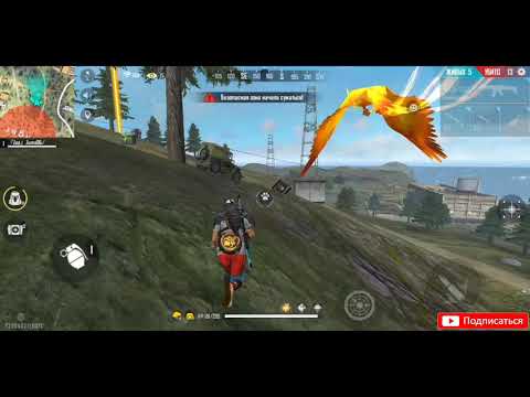 [Hightlight] MEIZU M8 📲📱 AGRESIV PLAYER 🇧🇷🇧🇷🇧🇷