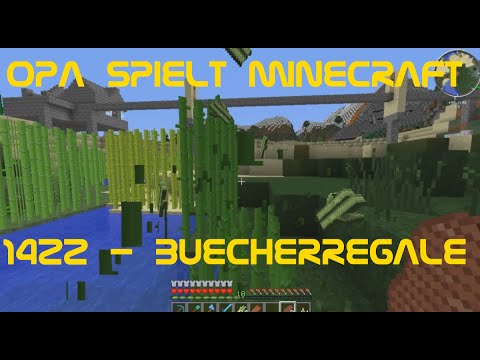Opa spielt Minecraft 1422 - Bücherregale