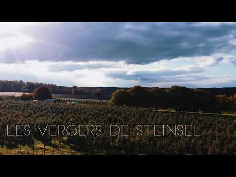 Les vergers de Steinsel