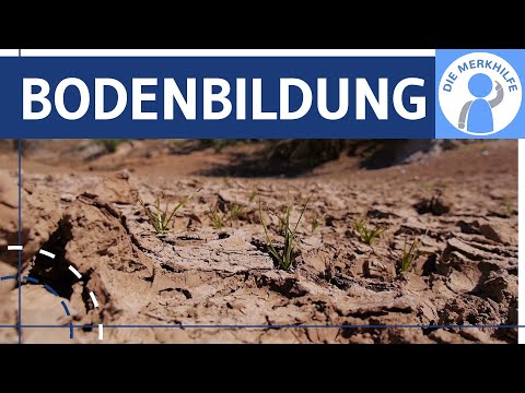 Soil formation simply explained - Origin & influencing factors - Geography - Soil 1